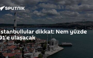 Nem Oranı