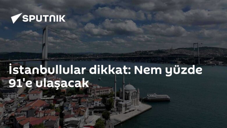 Nem Oranı