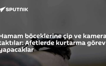 kurtarma