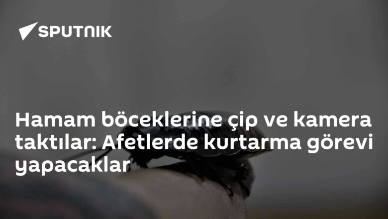 kurtarma