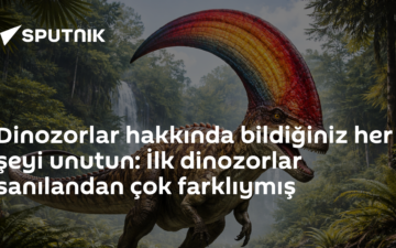 silesaur