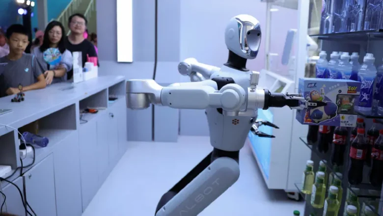 insansı robot