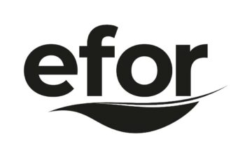 Efor Holding