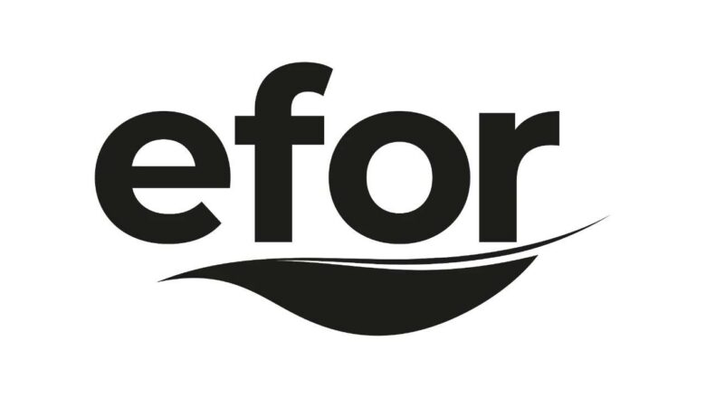 Efor Holding