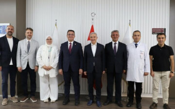 yapay zeka işbirliği