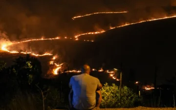 Orman yangını