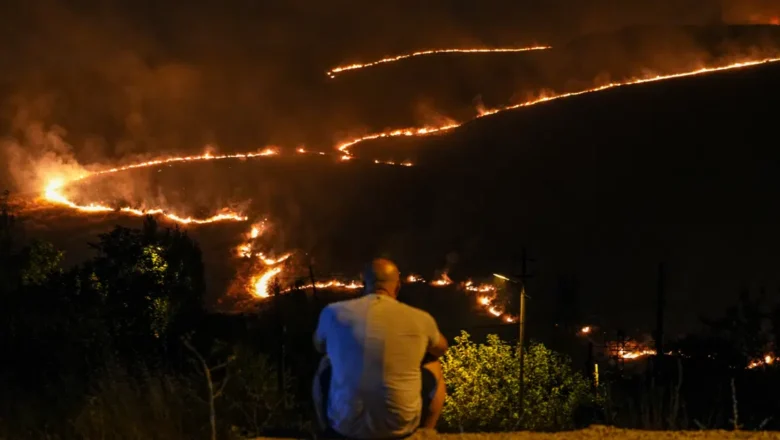 Orman yangını