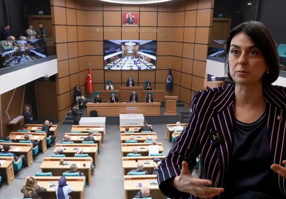 Başkanvekili Seçimi