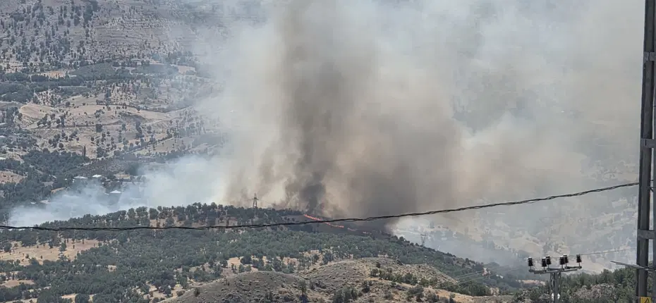 Adıyaman Yangını