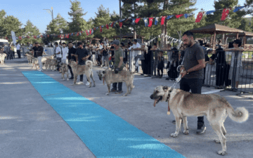 Dünyaca ünlü