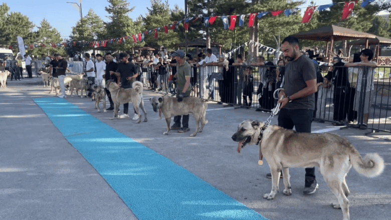 Dünyaca ünlü