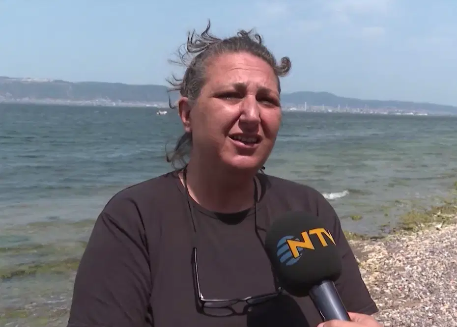 Deprem Kayıpları