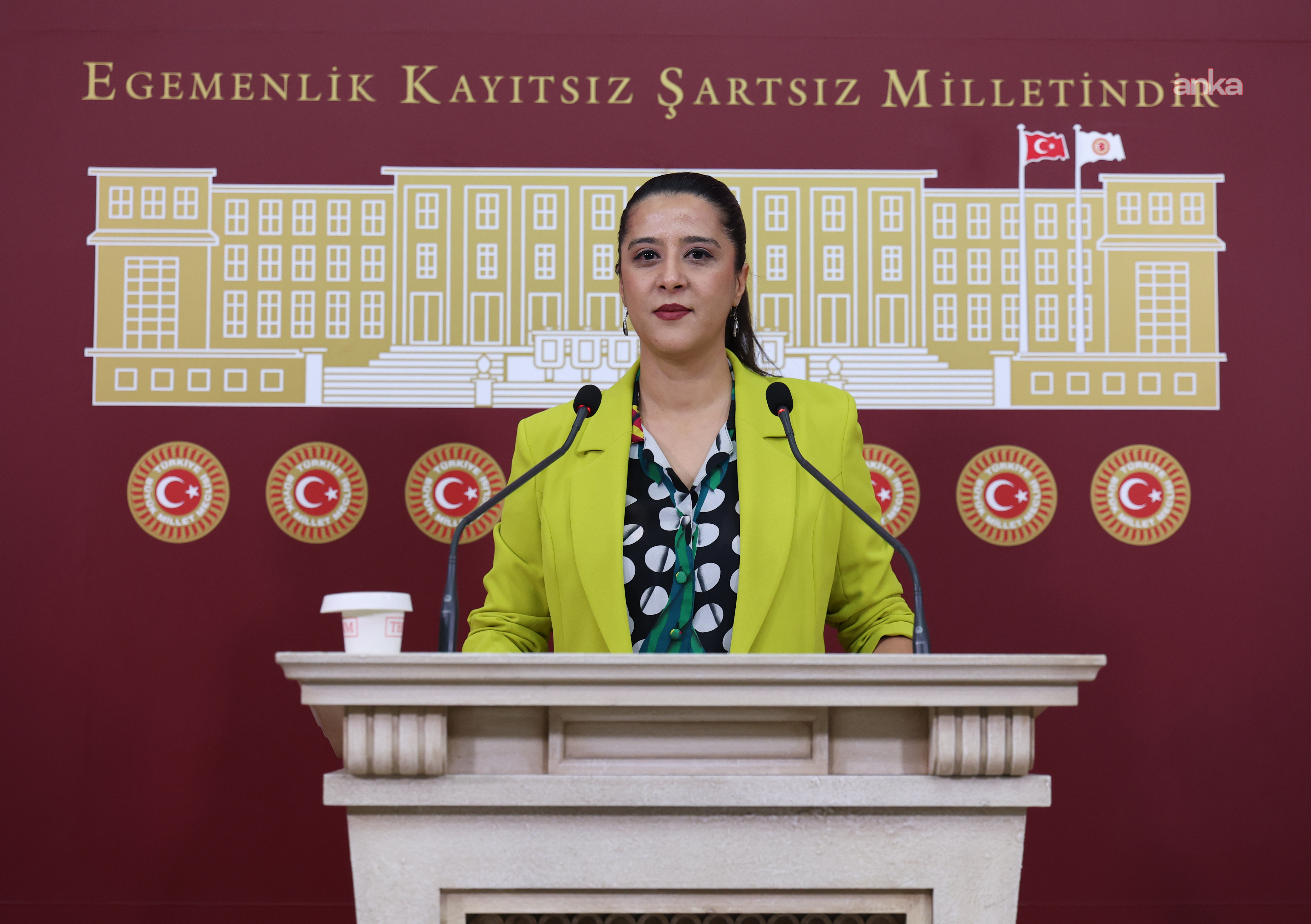 Soru Önergesi