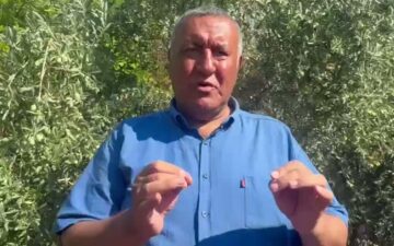tarım sektörü