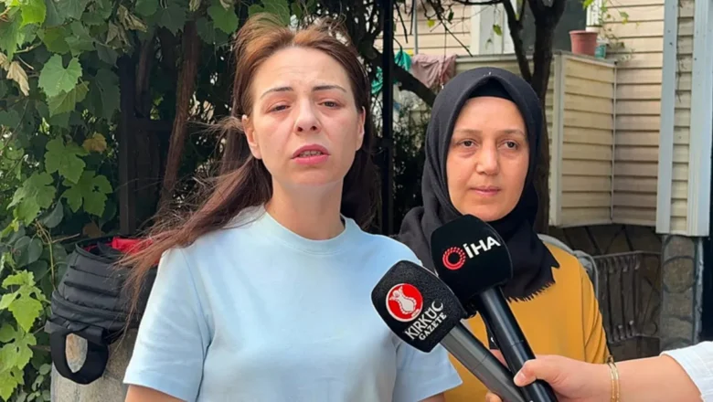 kedi vahşeti