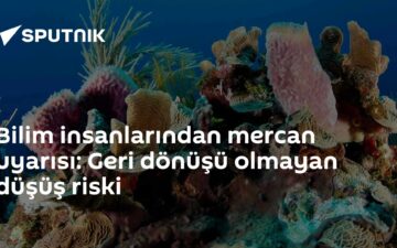 mercan ağarması