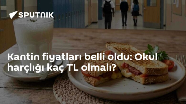 okul harçlığı