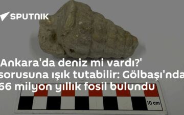 66 milyon yıllık fosil