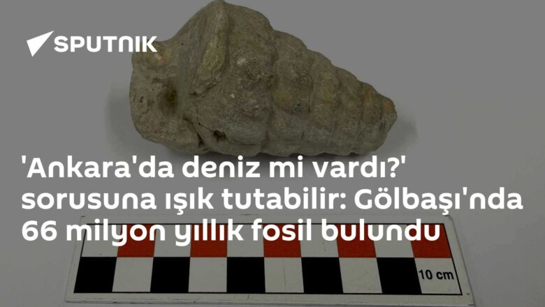 66 milyon yıllık fosil