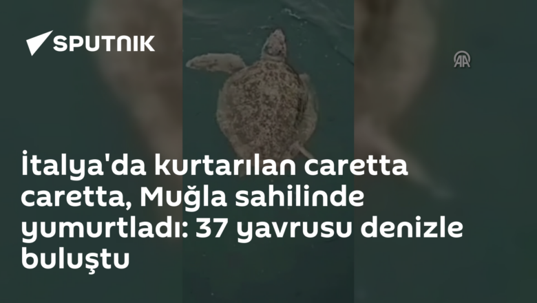 Azimut