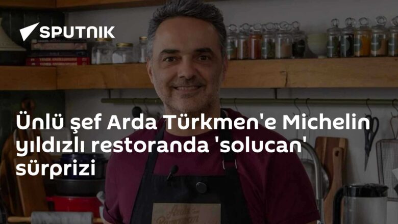 solucan