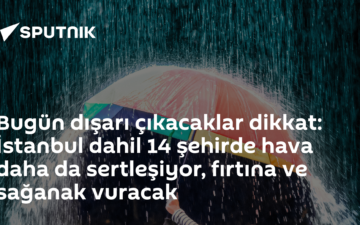 sel riski