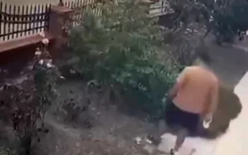 kediye tekme
