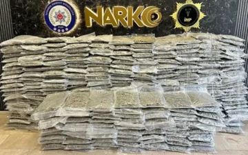 409 kilo skunk
