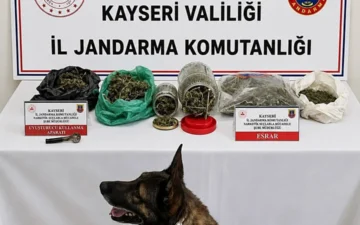 esrar ele geçirme