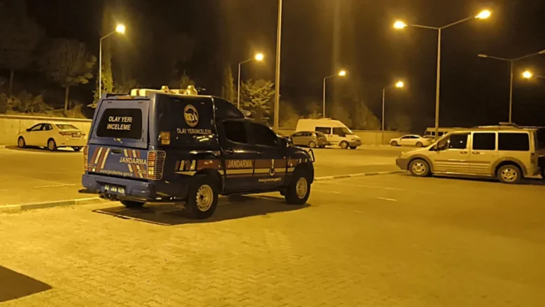 fıstık bahçesi