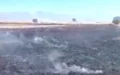 anız yangını