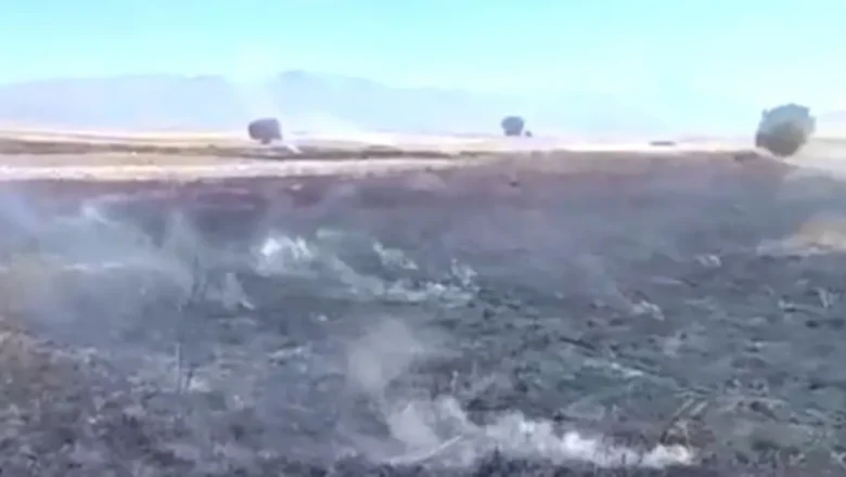 anız yangını
