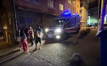 sinek ilacı
