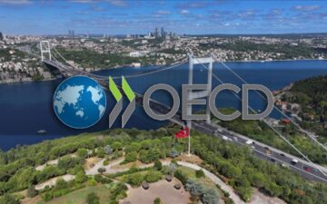 OECD destek