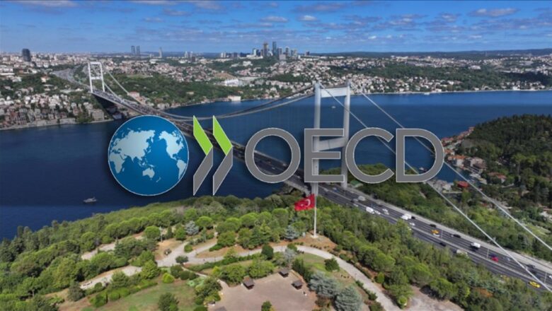 OECD destek